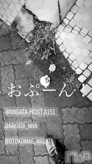 ��Į�ۥ��ȡ��ܡ������С�A151(�����������ݥ���) ��2024ǯ1��22���̥�֥����ַ�������