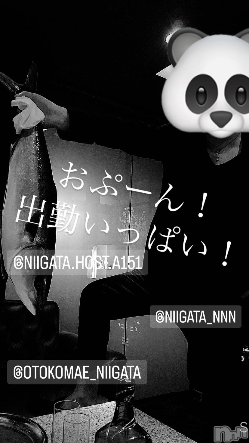 ��Į�ۥ��ȡ��ܡ������С�A151(�����������ݥ���) ��2024ǯ1��26���̥�֥����ֶ�������