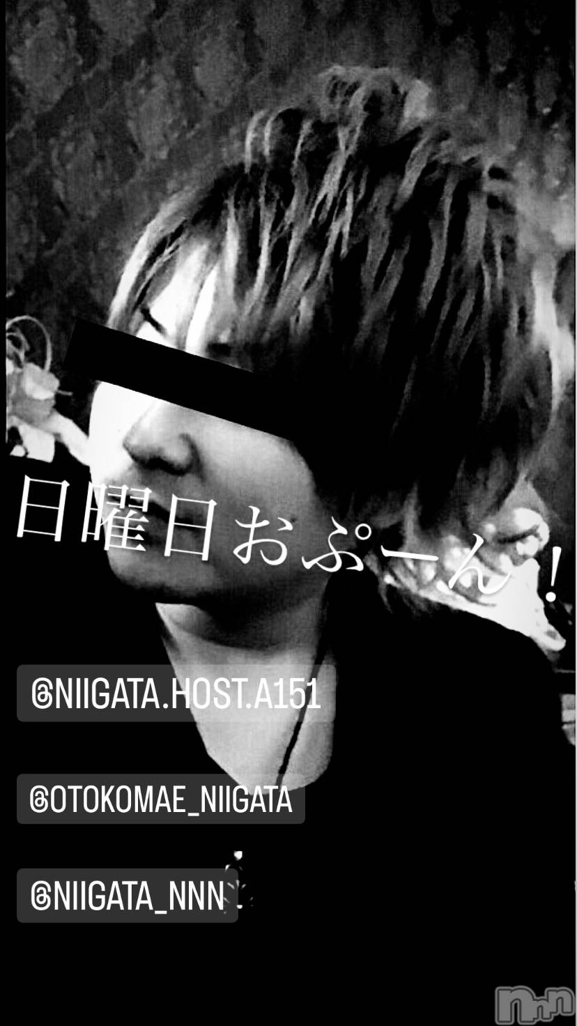 ��Į�ۥ��ȡ��ܡ������С�A151(�����������ݥ���) ��2024ǯ1��28���̥�֥�������������