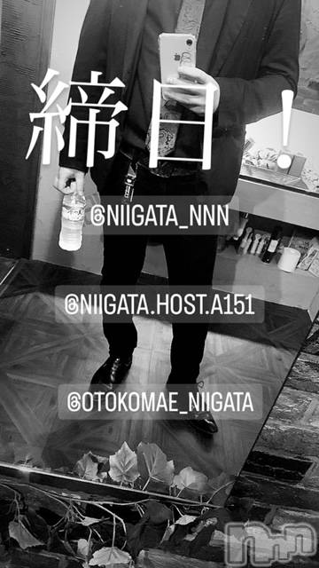 ��Į�ۥ��ȡ��ܡ������С�A151(�����������ݥ���) ��2024ǯ1��31���̥�֥����ֿ�������