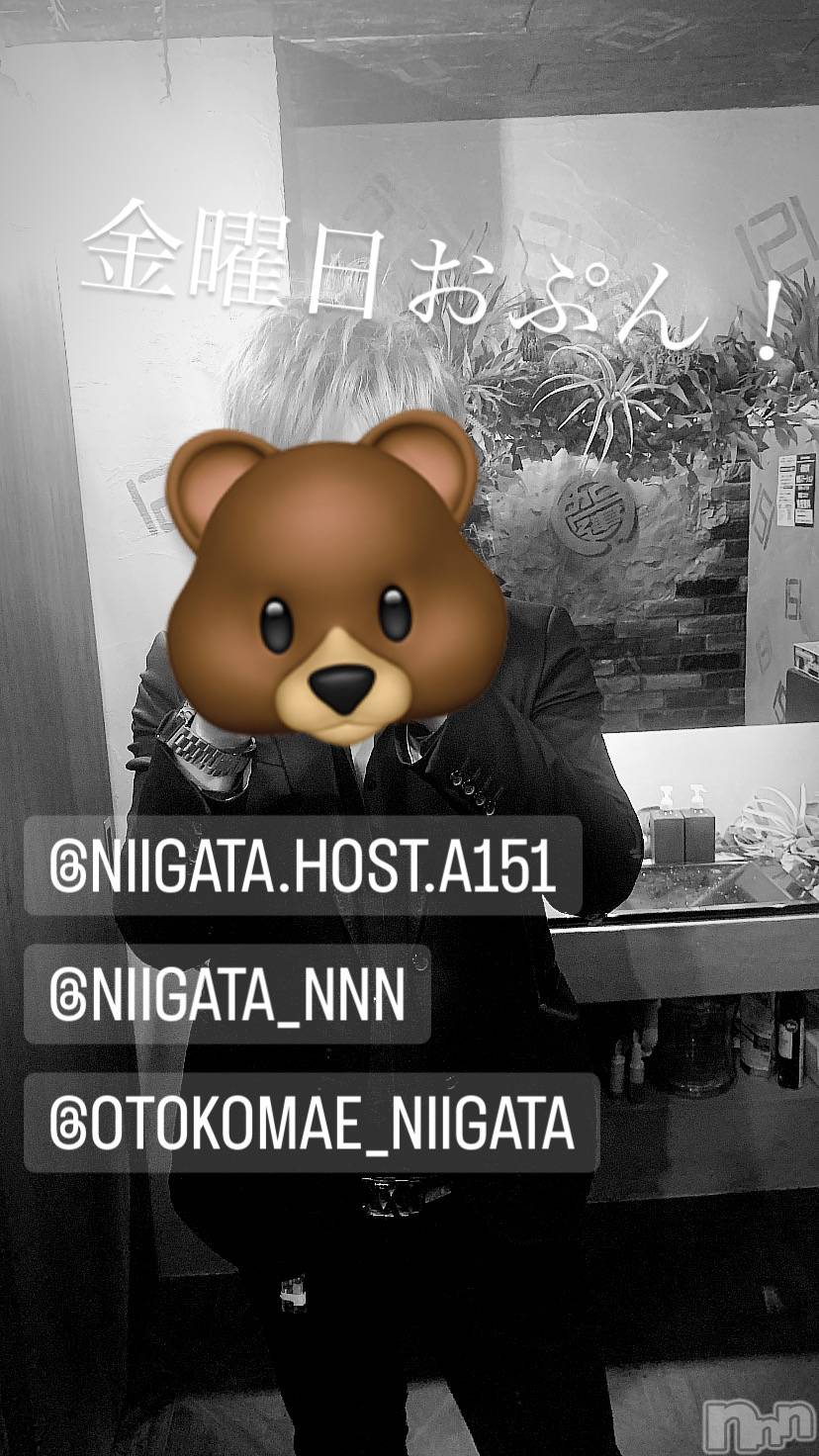 ��Į�ۥ��ȡ��ܡ������С�A151(�����������ݥ���) ��2024ǯ2��9���̥�֥����ֶ�������