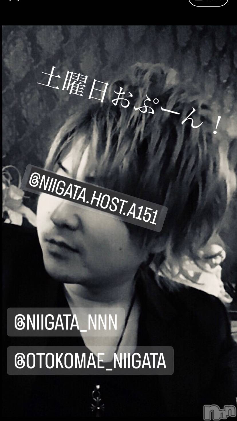 ��Į�ۥ��ȡ��ܡ������С�A151(�����������ݥ���) ��2024ǯ2��10���̥�֥�������������