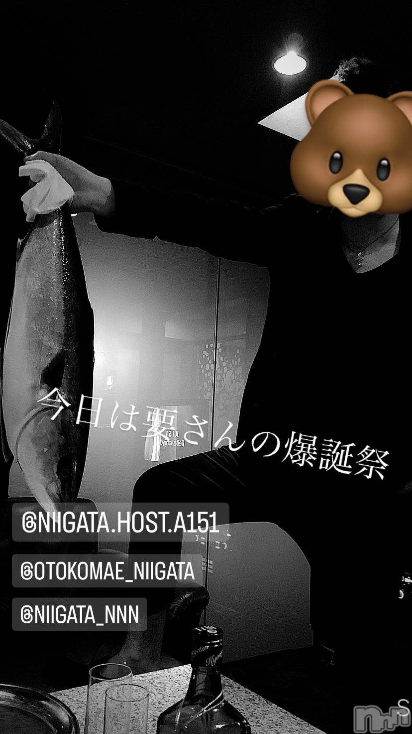 ��Į�ۥ��ȡ��ܡ������С�A151(�����������ݥ���) ��2024ǯ2��14���̥�֥����ֿ�������