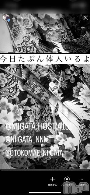 ��Į�ۥ��ȡ��ܡ������С�A151(�����������ݥ���) ��2024ǯ2��17���̥�֥�������������