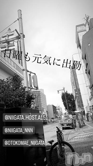 ��Į�ۥ��ȡ��ܡ������С�A151(�����������ݥ���) ��2024ǯ2��18���̥�֥�������������