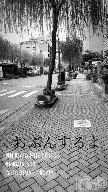 ��Į�ۥ��ȡ��ܡ������С�A151(�����������ݥ���) ��2024ǯ2��19���̥�֥����ַ�������