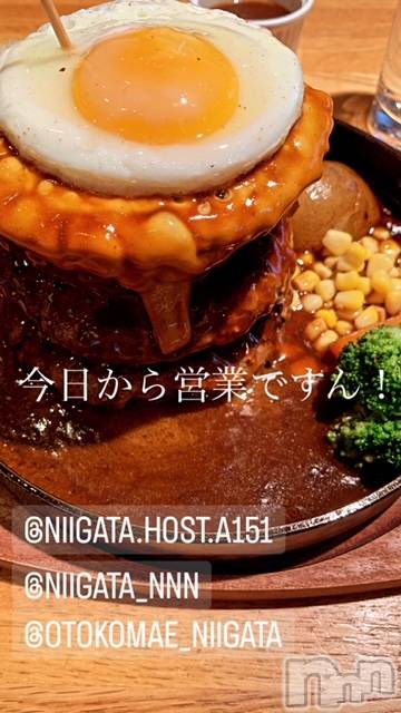 ��Į�ۥ��ȡ��ܡ������С�A151(�����������ݥ���) ��2024ǯ2��24���̥�֥�������������