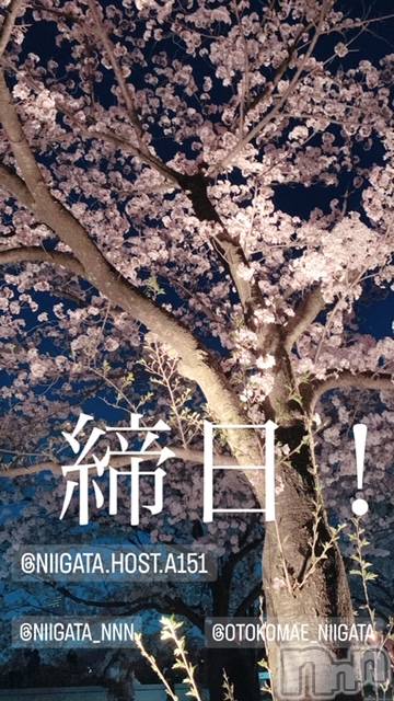 ��Į�ۥ��ȡ��ܡ������С�A151(�����������ݥ���) ��2024ǯ2��29���̥�֥�������������