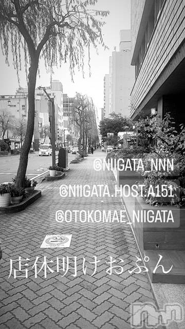 ��Į�ۥ��ȡ��ܡ������С�A151(�����������ݥ���) ��2024ǯ3��6���̥�֥����ֿ�������