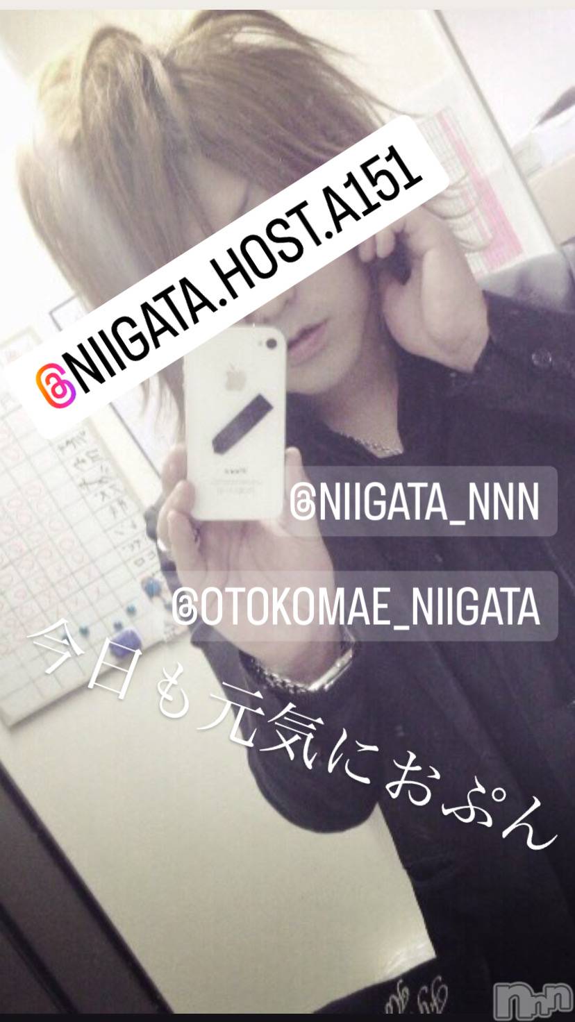 ��Į�ۥ��ȡ��ܡ������С�A151(�����������ݥ���) ��2024ǯ3��7���̥�֥�������������