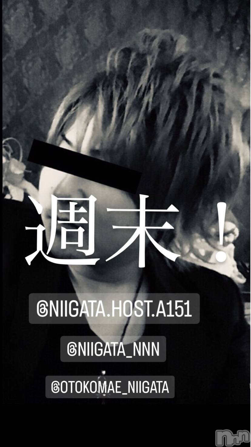 ��Į�ۥ��ȡ��ܡ������С�A151(�����������ݥ���) ��2024ǯ3��9���̥�֥�������������