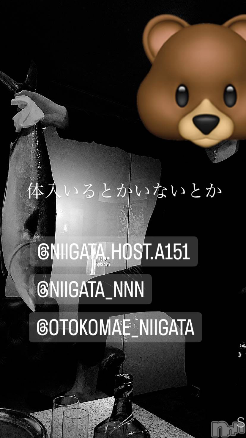 ��Į�ۥ��ȡ��ܡ������С�A151(�����������ݥ���) ��2024ǯ3��22���̥�֥����ֶ�������