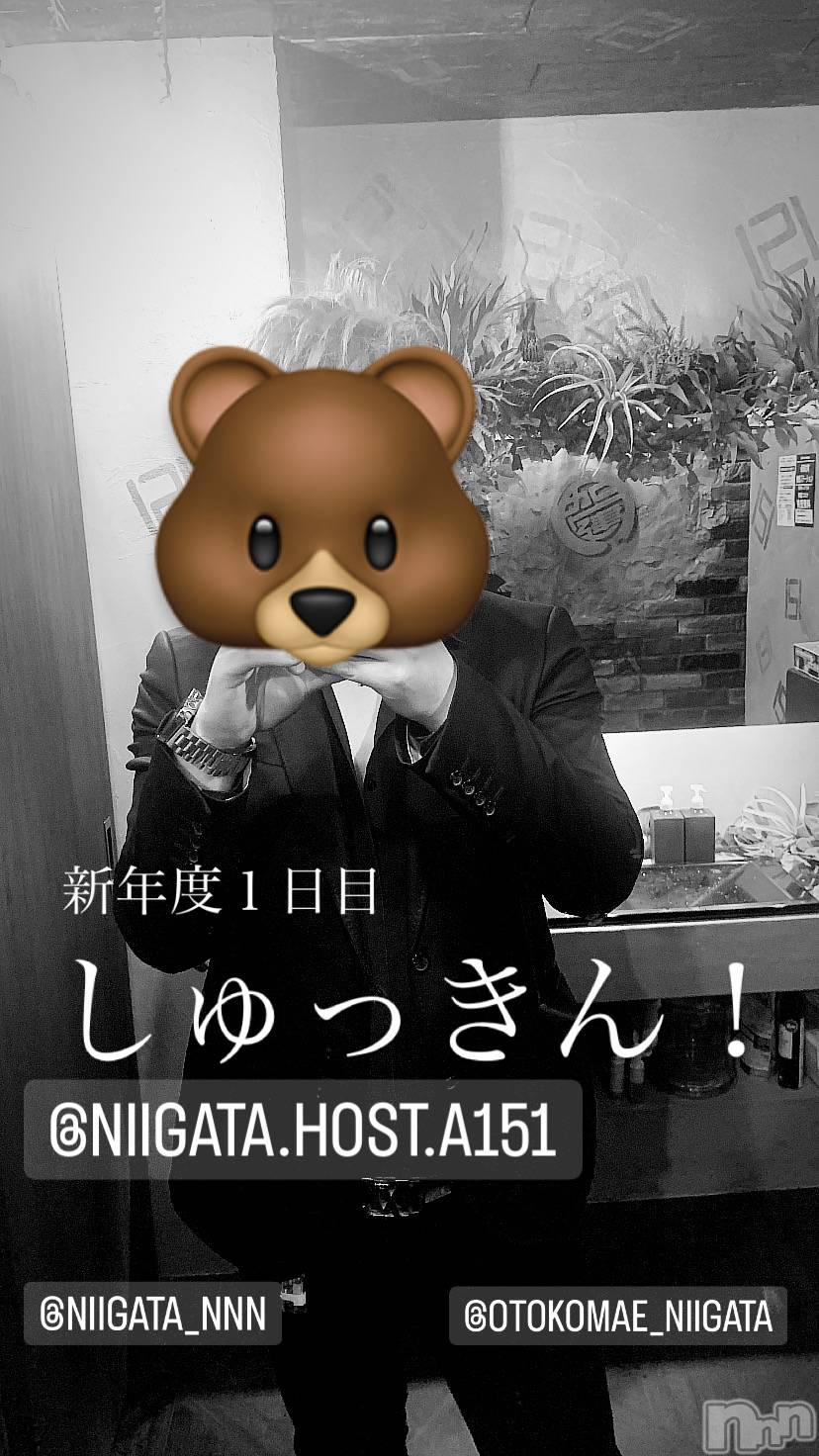 ��Į�ۥ��ȡ��ܡ������С�A151(�����������ݥ���) ��2024ǯ4��3���̥�֥����ֿ�������