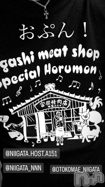 ��Į�ۥ��ȡ��ܡ������С�A151(�����������ݥ���) ��2024ǯ4��4���̥�֥�������������