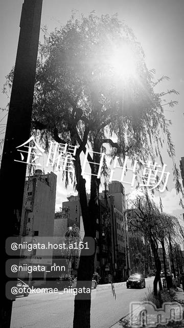 ��Į�ۥ��ȡ��ܡ������С�A151(�����������ݥ���) ��2024ǯ4��5���̥�֥����ֶ�������