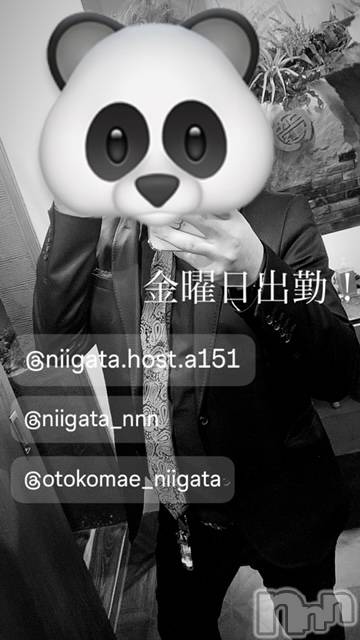 ��Į�ۥ��ȡ��ܡ������С�A151(�����������ݥ���) ��2024ǯ4��12���̥�֥����ֶ�������