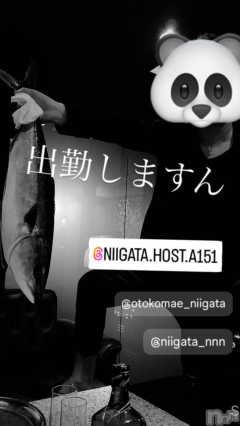 ��Į�ۥ��ȡ��ܡ������С�A151(�����������ݥ���) ��2024ǯ4��17���̥�֥����ֿ�������