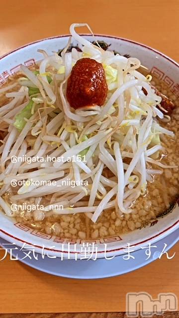 ��Į�ۥ��ȡ��ܡ������С�A151(�����������ݥ���) ��2024ǯ4��24���̥�֥����ֿ�������