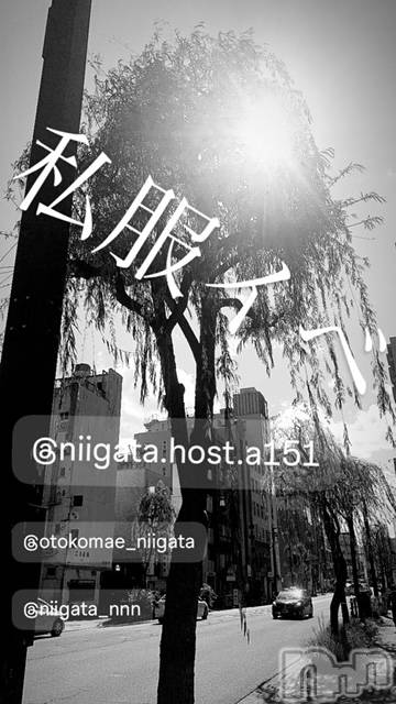 ��Į�ۥ��ȡ��ܡ������С�A151(�����������ݥ���) ��2024ǯ4��27���̥�֥����ֶ�������