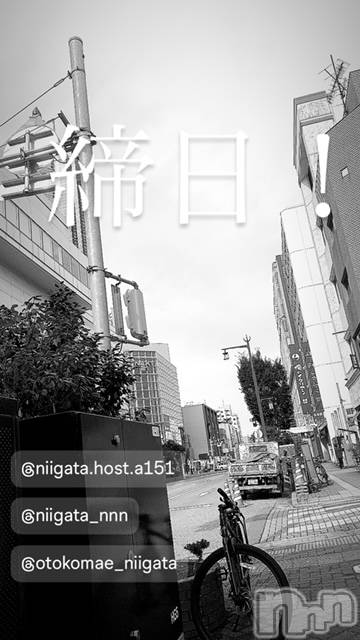 ��Į�ۥ��ȡ��ܡ������С�A151(�����������ݥ���) ��2024ǯ4��28���̥�֥�������������