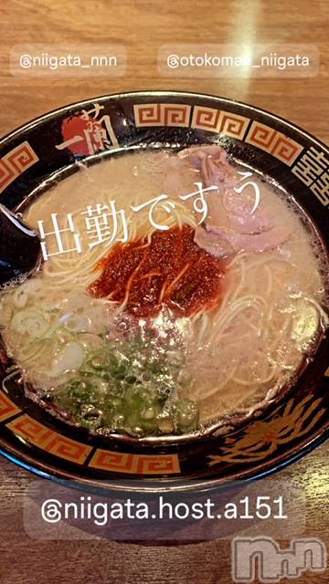 ��Į�ۥ��ȡ��ܡ������С�A151(�����������ݥ���) ��2024ǯ5��15���̥�֥����ֿ�������