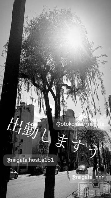 ��Į�ۥ��ȡ��ܡ������С�A151(�����������ݥ���) ��2024ǯ5��16���̥�֥�������������