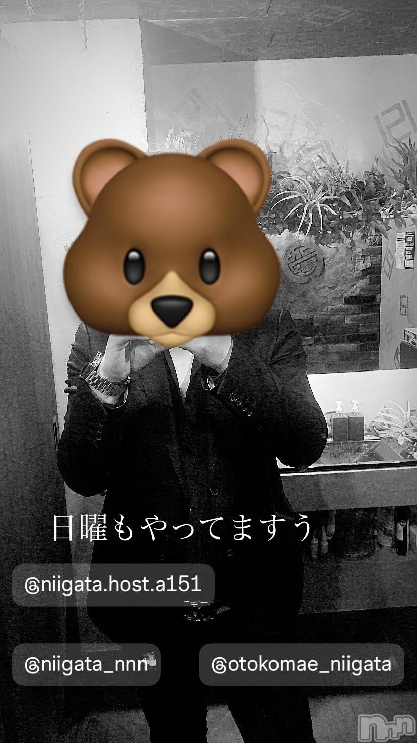 ��Į�ۥ��ȡ��ܡ������С�A151(�����������ݥ���) ��2024ǯ5��19���̥�֥�������������