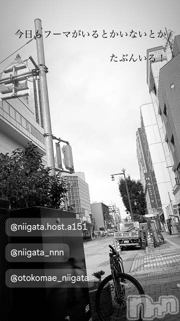 ��Į�ۥ��ȡ��ܡ������С�A151(�����������ݥ���) ��2024ǯ5��23���̥�֥�������������