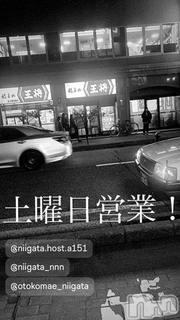 ��Į�ۥ��ȡ��ܡ������С�A151(�����������ݥ���) ��2024ǯ5��25���̥�֥�������������