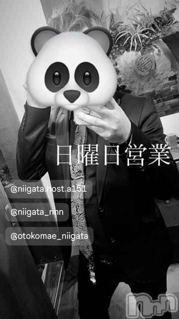 ��Į�ۥ��ȡ��ܡ������С�A151(�����������ݥ���) ��2024ǯ5��26���̥�֥�������������