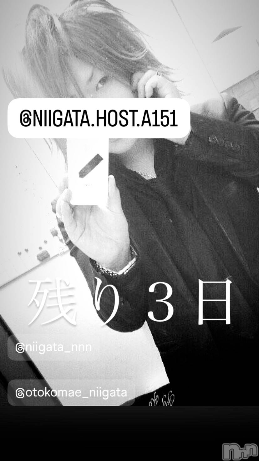 ��Į�ۥ��ȡ��ܡ������С�A151(�����������ݥ���) ��2024ǯ5��29���̥�֥����ֿ�������