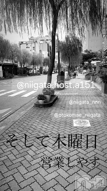 ��Į�ۥ��ȡ��ܡ������С�A151(�����������ݥ���) ��2024ǯ5��30���̥�֥�������������