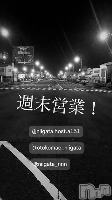 ��Į�ۥ��ȡ��ܡ������С�A151(�����������ݥ���) ��2024ǯ6��8���̥�֥�������������