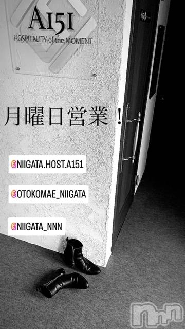 ��Į�ۥ��ȡ��ܡ������С�A151(�����������ݥ���) ��2024ǯ6��10���̥�֥����ַ�������