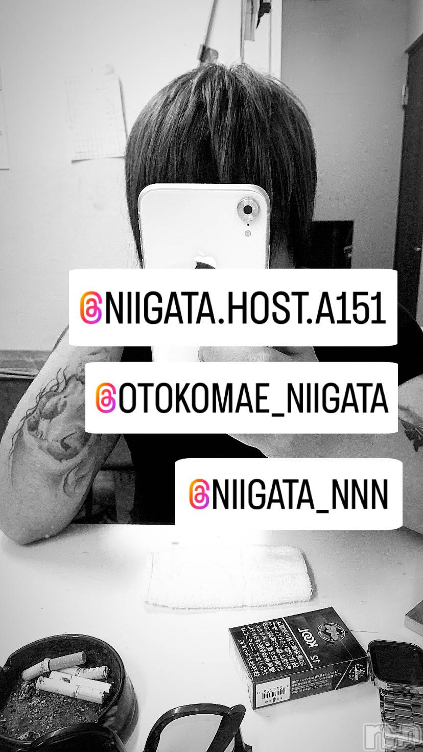 ��Į�ۥ��ȡ��ܡ������С�A151(�����������ݥ���) ��2024ǯ6��12���̥�֥����ֿ�������