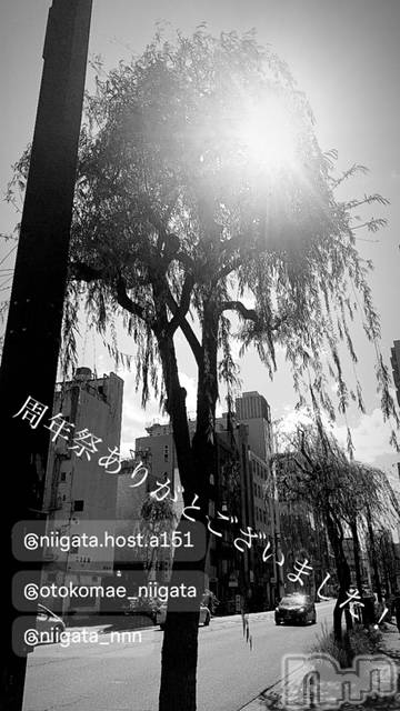 ��Į�ۥ��ȡ��ܡ������С�A151(�����������ݥ���) ��2024ǯ6��16���̥�֥�������������