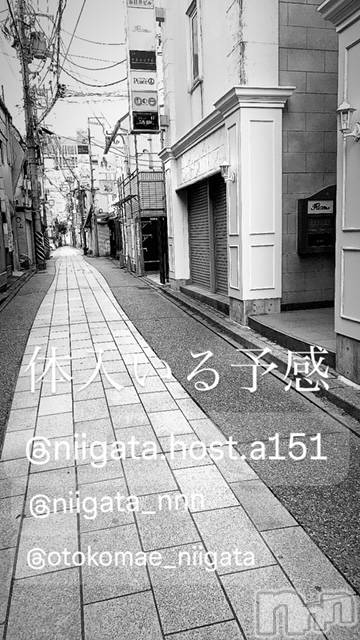 ��Į�ۥ��ȡ��ܡ������С�A151(�����������ݥ���) ��2024ǯ6��17���̥�֥����ַ�������