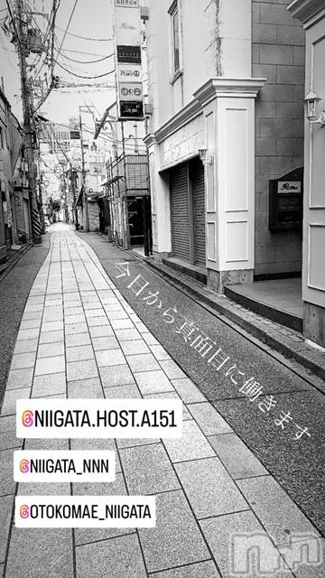 ��Į�ۥ��ȡ��ܡ������С�A151(�����������ݥ���) ��2024ǯ6��20���̥�֥�������������