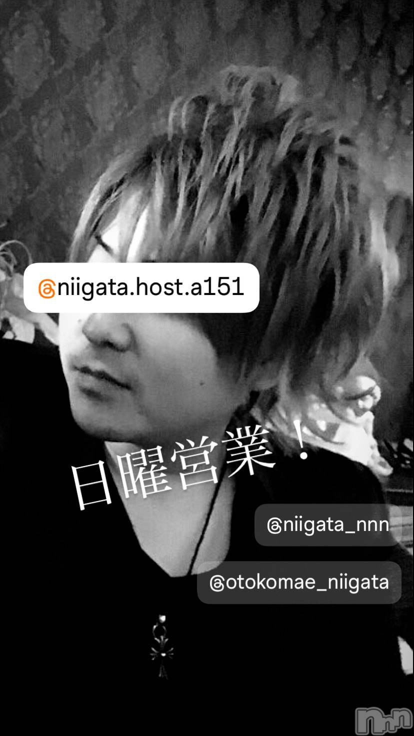 ��Į�ۥ��ȡ��ܡ������С�A151(�����������ݥ���) ��2024ǯ6��23���̥�֥�������������