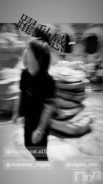 ��Į�ۥ��ȡ��ܡ������С�A151(�����������ݥ���) ��2024ǯ6��24���̥�֥����ַ�������