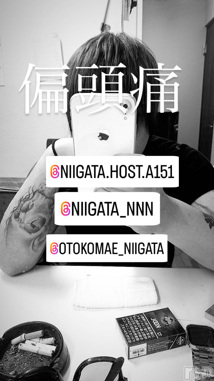 ��Į�ۥ��ȡ��ܡ������С�A151(�����������ݥ���) ��2024ǯ7��4���̥�֥�������������