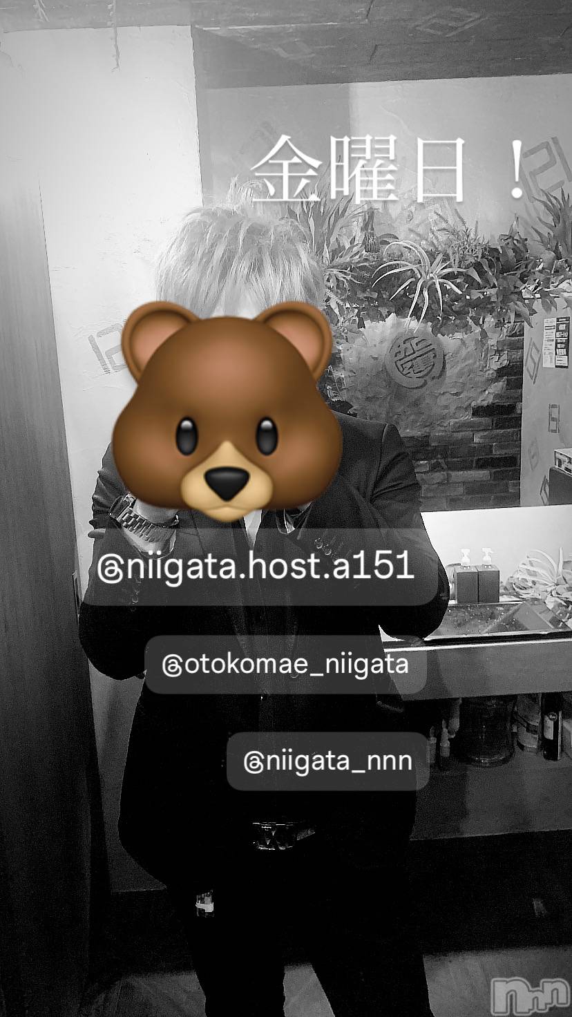 ��Į�ۥ��ȡ��ܡ������С�A151(�����������ݥ���) ��2024ǯ7��5���̥�֥����ֶ�������