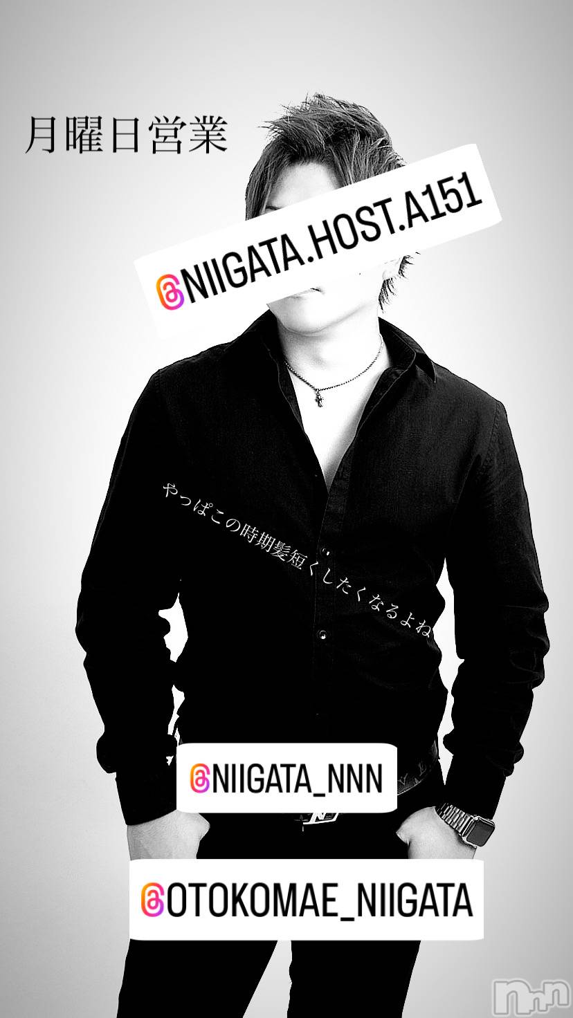 ��Į�ۥ��ȡ��ܡ������С�A151(�����������ݥ���) ��2024ǯ7��8���̥�֥����ַ�������