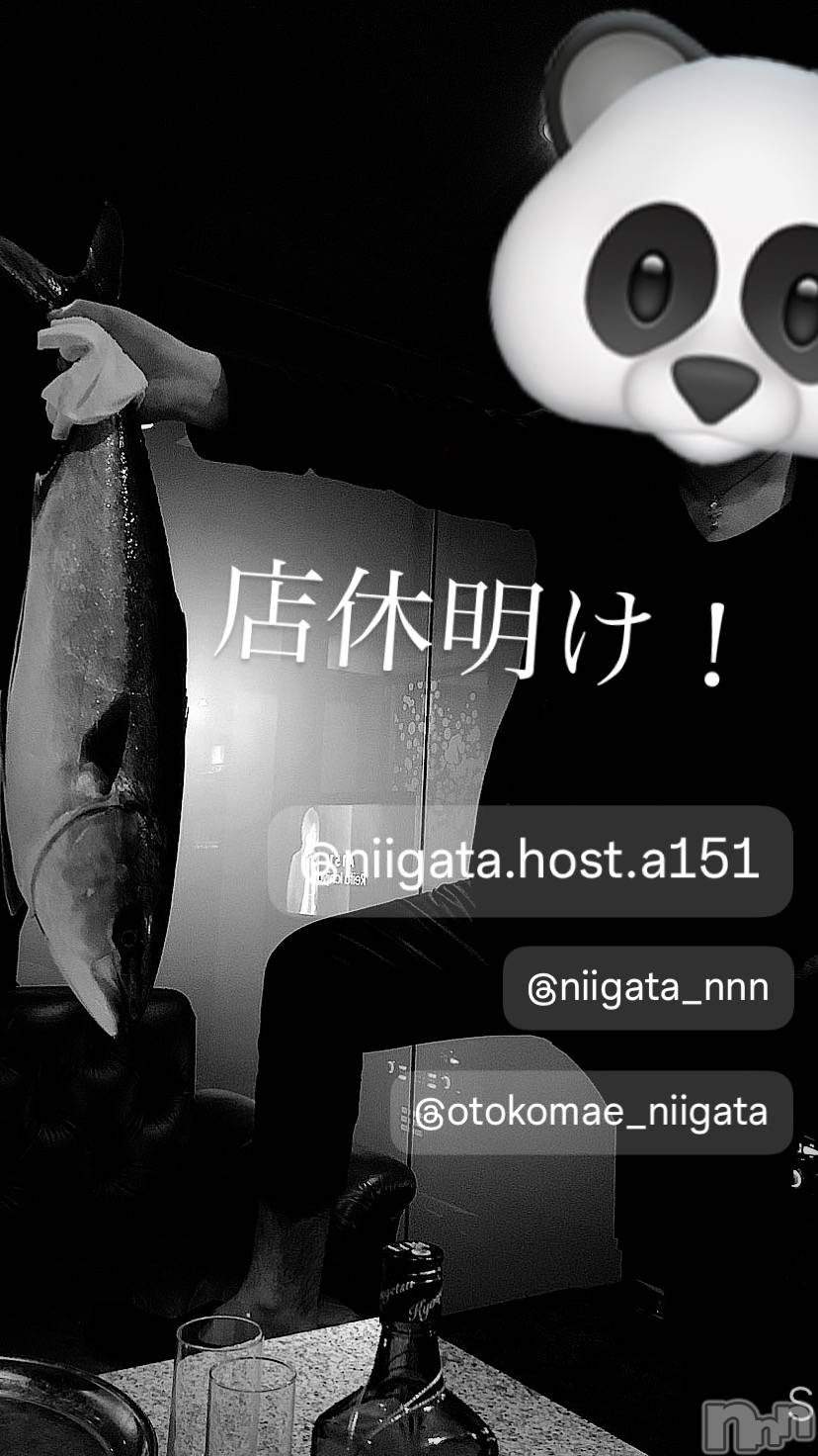 ��Į�ۥ��ȡ��ܡ������С�A151(�����������ݥ���) ��2024ǯ7��10���̥�֥����ֿ�������