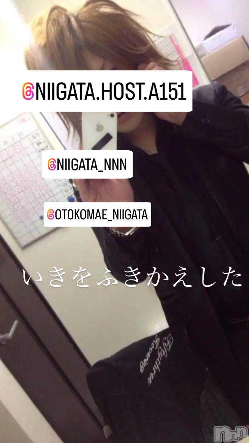 ��Į�ۥ��ȡ��ܡ������С�A151(�����������ݥ���) ��2024ǯ7��13���̥�֥�������������