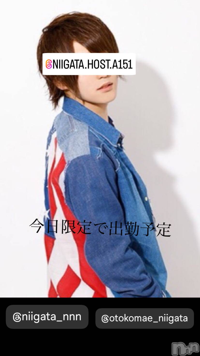 ��Į�ۥ��ȡ��ܡ������С�A151(�����������ݥ���) ��2024ǯ7��14���̥�֥�������������