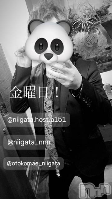 ��Į�ۥ��ȡ��ܡ������С�A151(�����������ݥ���) ��2024ǯ7��19���̥�֥����ֶ�������