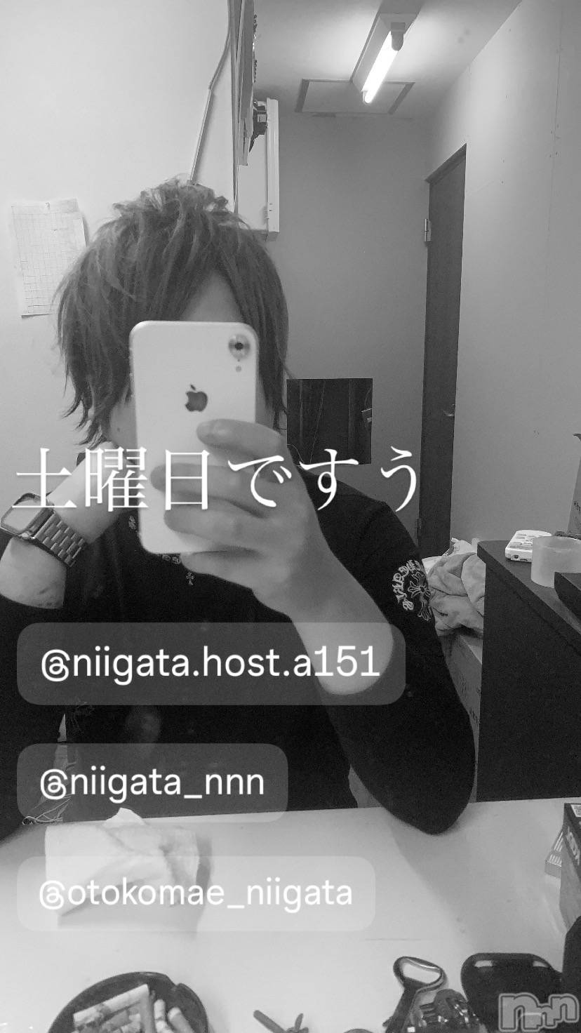 ��Į�ۥ��ȡ��ܡ������С�A151(�����������ݥ���) ��2024ǯ7��20���̥�֥�������������