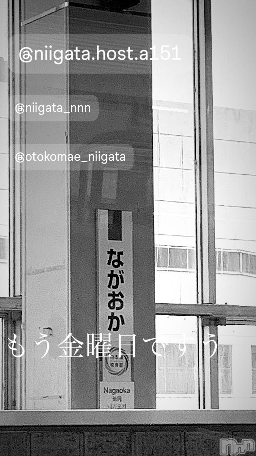 ��Į�ۥ��ȡ��ܡ������С�A151(�����������ݥ���) ��2024ǯ7��26���̥�֥����ֶ�������