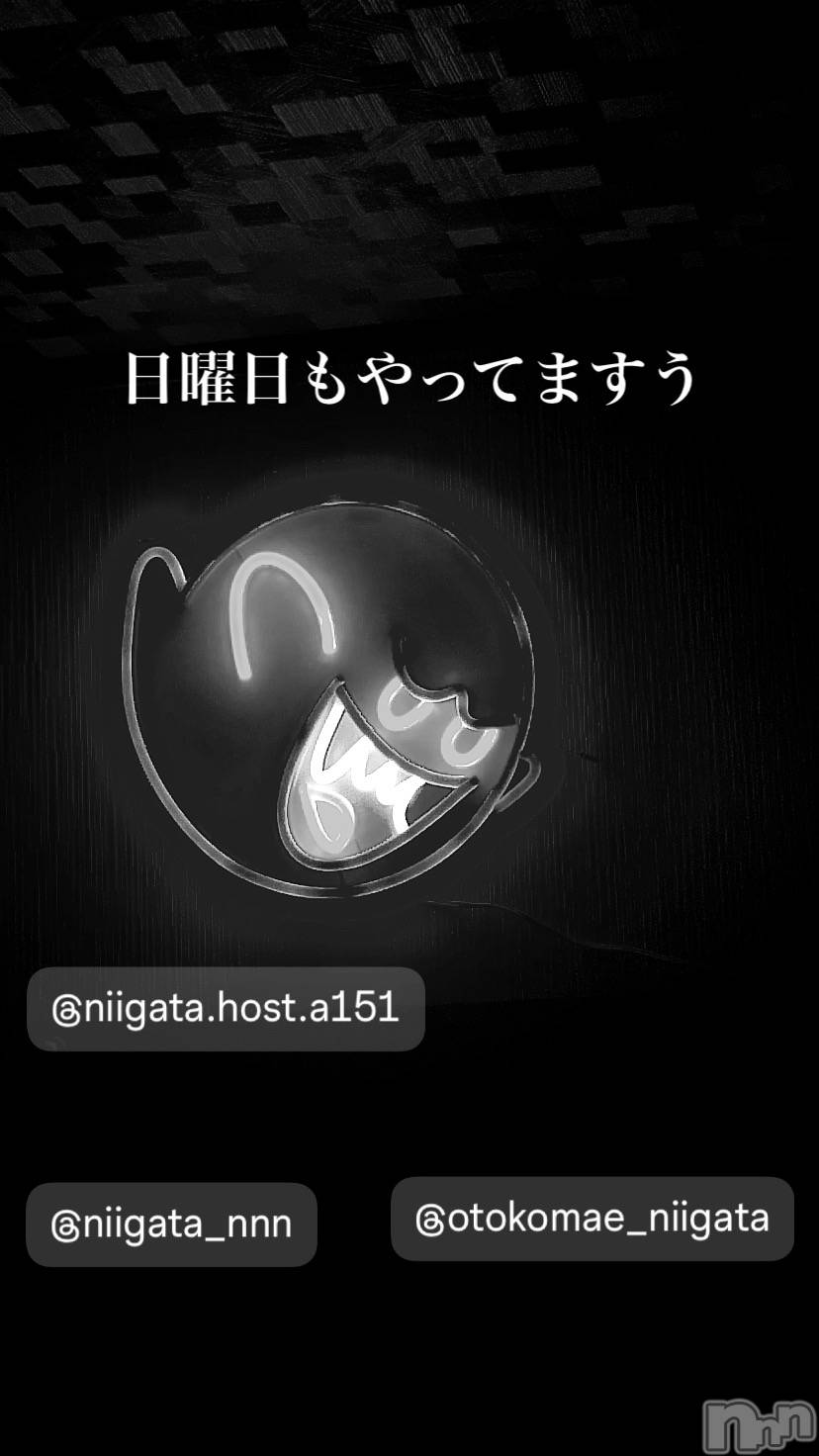 ��Į�ۥ��ȡ��ܡ������С�A151(�����������ݥ���) ��2024ǯ7��28���̥�֥�������������